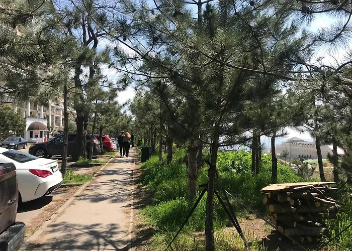 спапфировые в аркадийском дворце Apartament